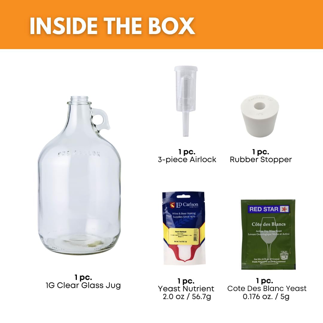 Mead Making From 1-Gallon Starter Jars to 5-Gallon Honey Wine: Which Kit Actually Teaches You Something